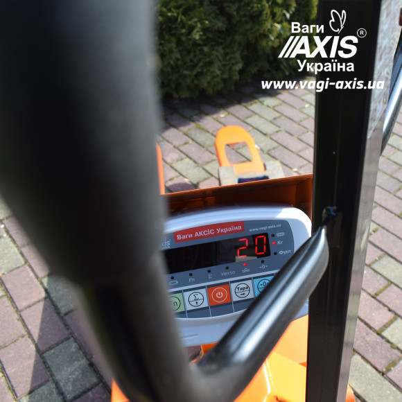 Вага-рокла 4BDU2000Р-В-Б Бюджет