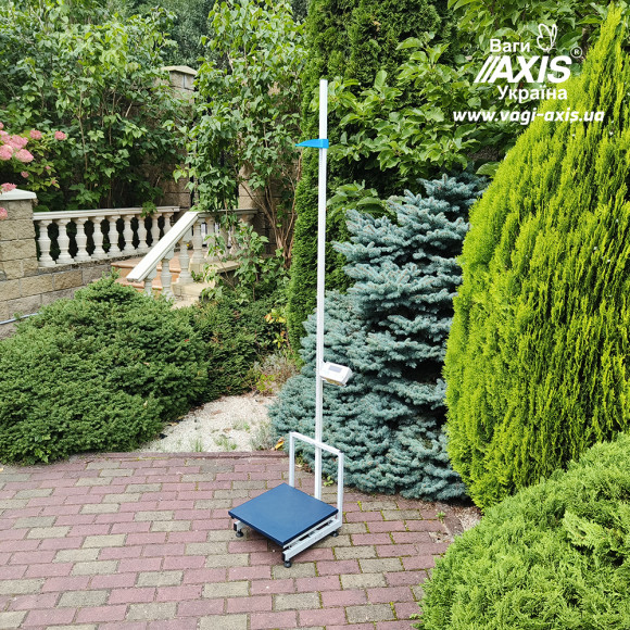 Весы медицинские с ростомером BDU300-Medical+ Весы медицинские с ростомером BDU300-Medical+