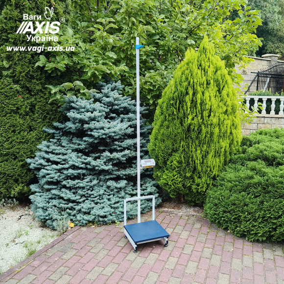 Весы медицинские с ростомером BDU300-Medical+ Весы медицинские с ростомером BDU300-Medical+