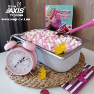 Контейнер для мороженого Brillis ICE Cream