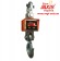 Crane scales ВКД-30t-A (OCS-30t-A) Crane scales ВКД-30t-A (OCS-30t-A)