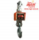 Crane scales ВКД-50t-A (OCS-50t-A)