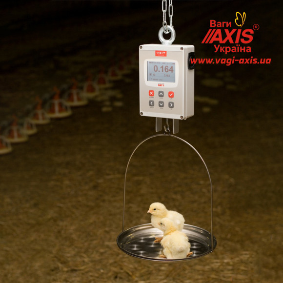 Весы для птицы BAT1 30 кг (цыплят, кур, бройлеров, индеек) Весы для птицы BAT1 30 кг (цыплят, кур, бройлеров, индеек)