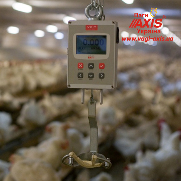 Весы для птицы BAT1 30 кг (цыплят, кур, бройлеров, индеек) Весы для птицы BAT1 30 кг (цыплят, кур, бройлеров, индеек)