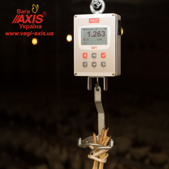 Весы для птицы BAT1 30 кг (цыплят, кур, бройлеров, индеек) Весы для птицы BAT1 30 кг (цыплят, кур, бройлеров, индеек)