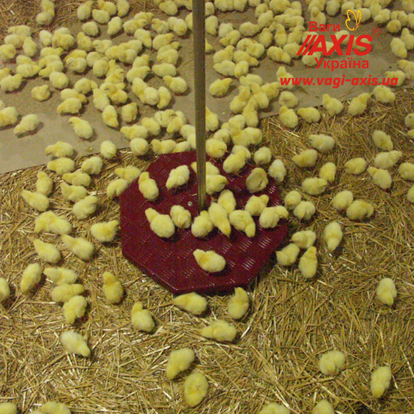 Весы для птицы BAT1 30 кг (цыплят, кур, бройлеров, индеек) Весы для птицы BAT1 30 кг (цыплят, кур, бройлеров, индеек)