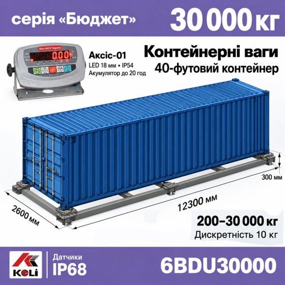 Контейнерные весы 6BDU30000 Бюджет до 30 т