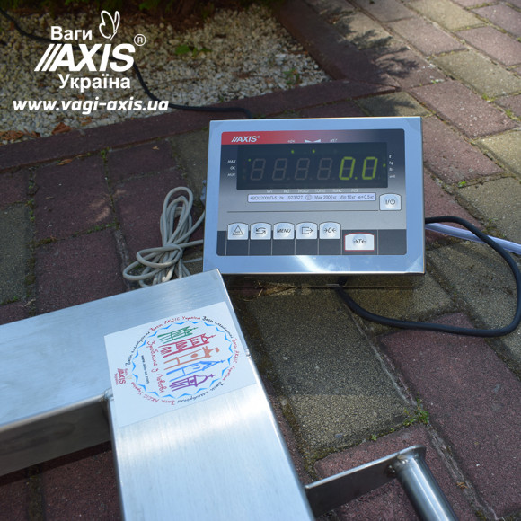 Весы паллетные из нержавейки 4BDU3000П-Е ЭЛИТ