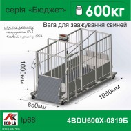 Ваги для свиней 4BDU600Х-0819-Б Бюджет