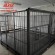 Весы для животных 4BDU3000Х-1520-Р-Б Бюджет