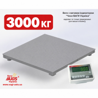 Платформенные весы 3000 кг